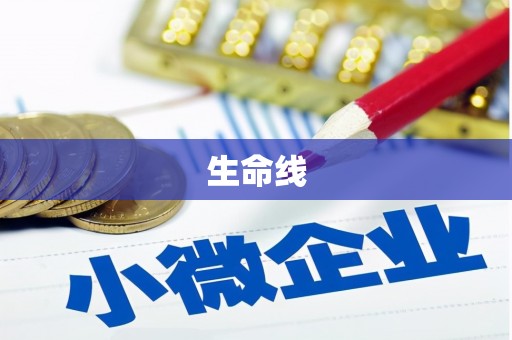 洋山生命线