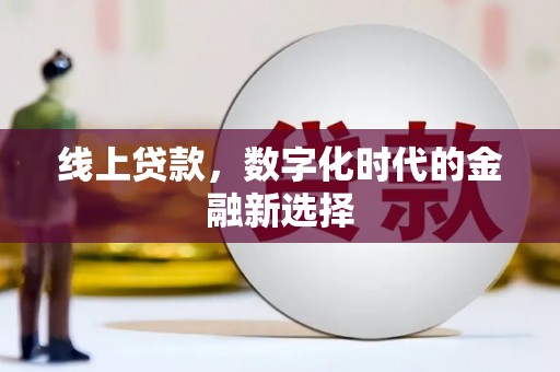洋山线上贷款，数字化时代的金融新选择