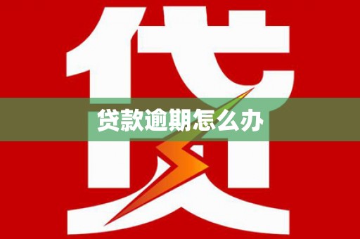 洋山贷款逾期怎么办