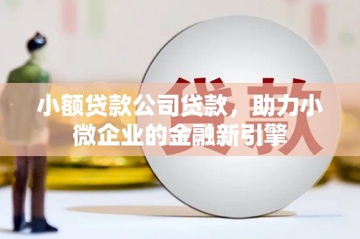 洋山小额贷款公司贷款，助力小微企业的金融新引擎