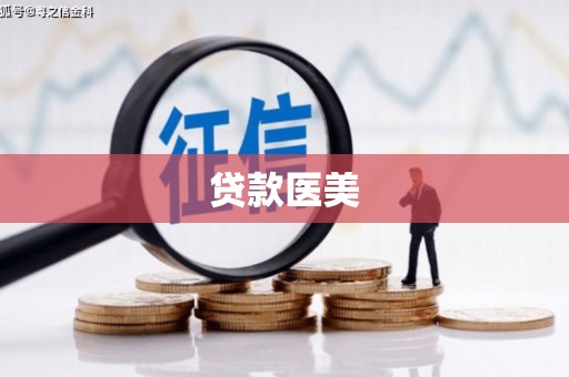 洋山贷款医美