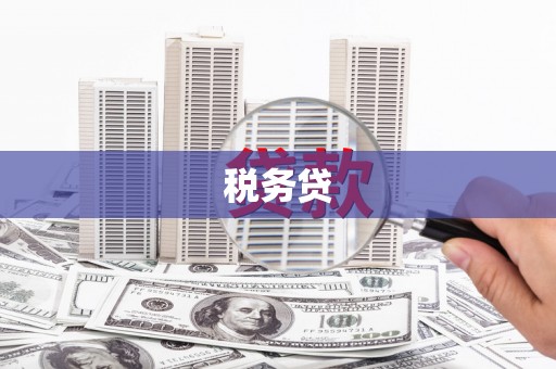 洋山税务贷