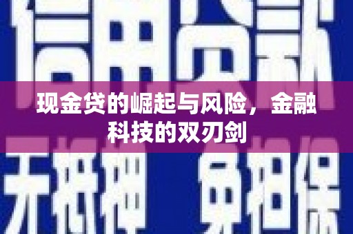 洋山现金贷的崛起与风险，金融科技的双刃剑