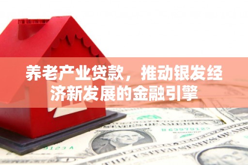 洋山养老产业贷款，推动银发经济新发展的金融引擎