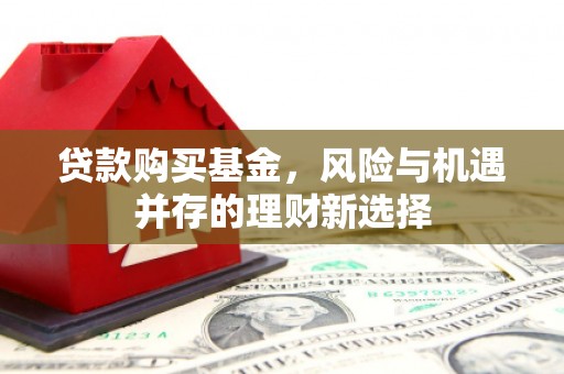 洋山贷款购买基金，风险与机遇并存的理财新选择
