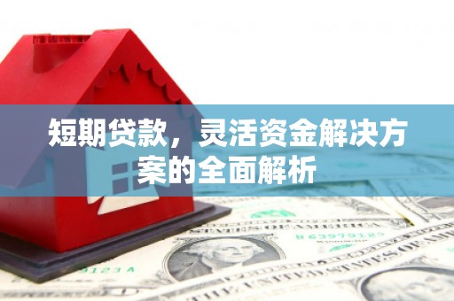 洋山短期贷款，灵活资金解决方案的全面解析