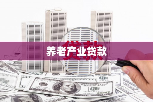 洋山养老产业贷款