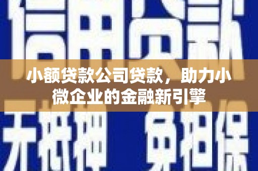 洋山小额贷款公司贷款，助力小微企业的金融新引擎