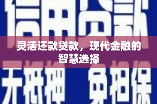 洋山灵活还款贷款，现代金融的智慧选择