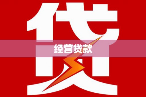 洋山经营贷款