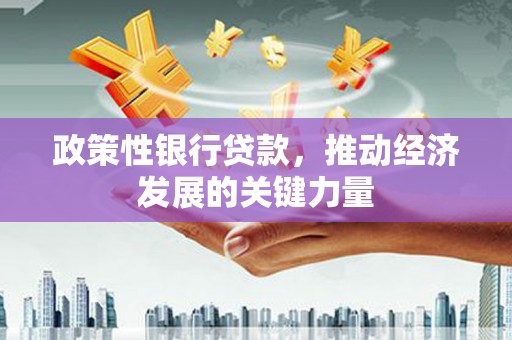 洋山政策性银行贷款，推动经济发展的关键力量