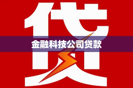 洋山金融科技公司贷款