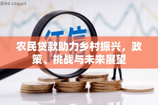 洋山农民贷款助力乡村振兴，政策、挑战与未来展望