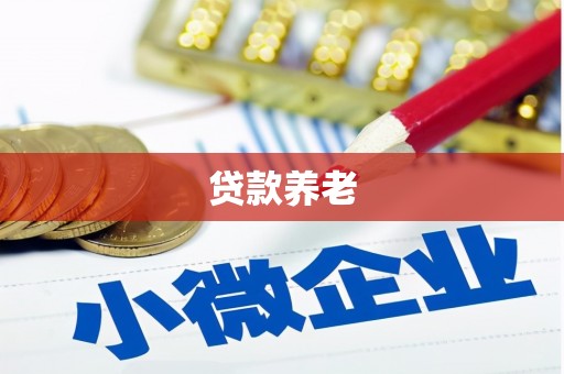 洋山贷款养老