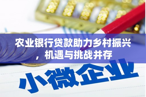 洋山农业银行贷款助力乡村振兴，机遇与挑战并存
