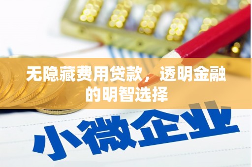 洋山无隐藏费用贷款，透明金融的明智选择
