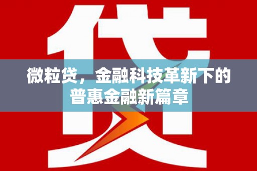 洋山微粒贷，金融科技革新下的普惠金融新篇章
