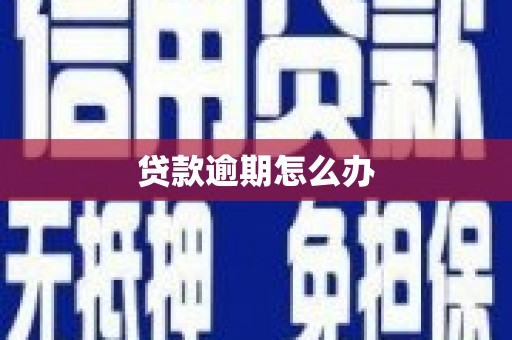 洋山贷款逾期怎么办