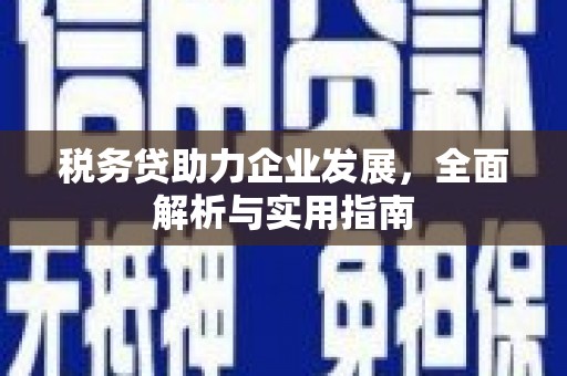 洋山税务贷助力企业发展，全面解析与实用指南