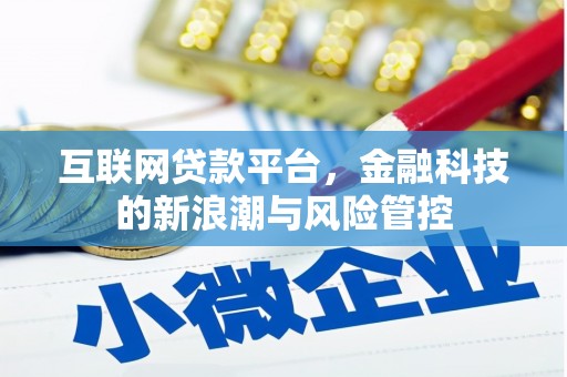 洋山互联网贷款平台，金融科技的新浪潮与风险管控