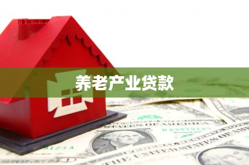 洋山养老产业贷款