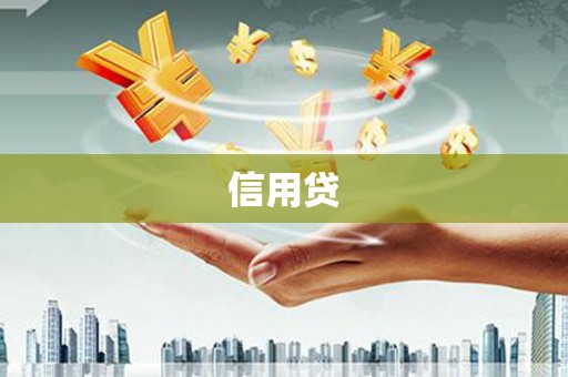 洋山信用贷