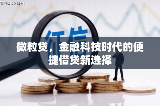 洋山微粒贷，金融科技时代的便捷借贷新选择