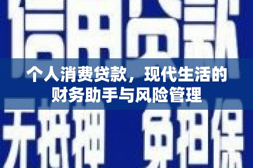洋山个人消费贷款，现代生活的财务助手与风险管理