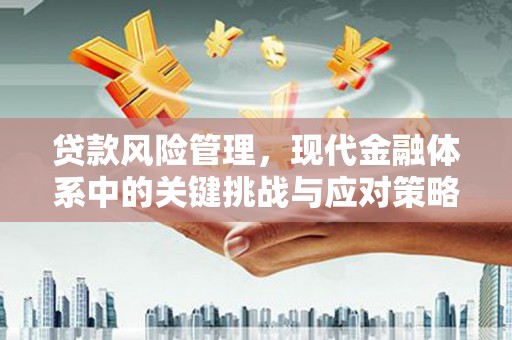 洋山贷款风险管理，现代金融体系中的关键挑战与应对策略