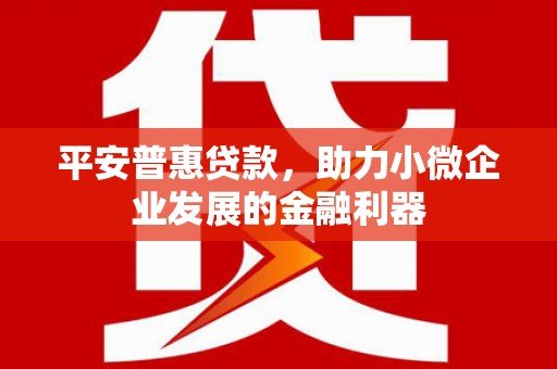 洋山平安普惠贷款，助力小微企业发展的金融利器
