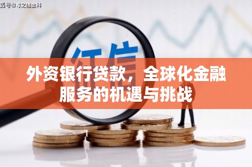 洋山外资银行贷款，全球化金融服务的机遇与挑战