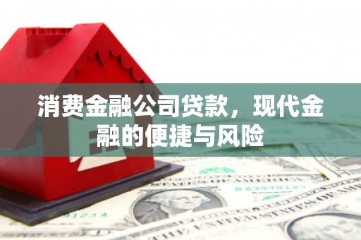 洋山消费金融公司贷款，现代金融的便捷与风险