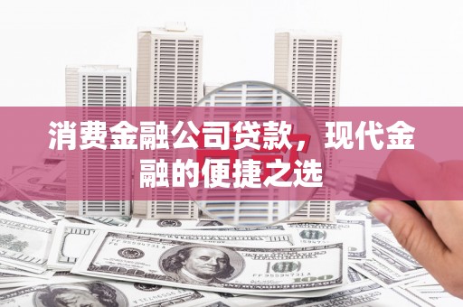 洋山消费金融公司贷款，现代金融的便捷之选
