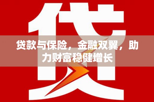 洋山贷款与保险，金融双翼，助力财富稳健增长
