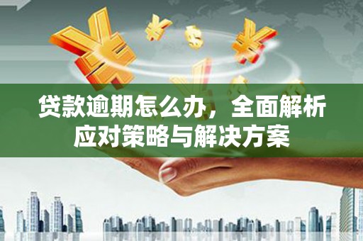 洋山贷款逾期怎么办，全面解析应对策略与解决方案