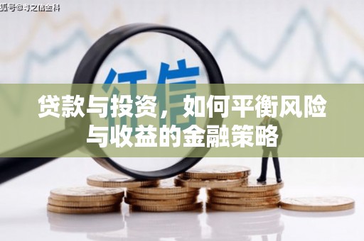 洋山贷款与投资，如何平衡风险与收益的金融策略