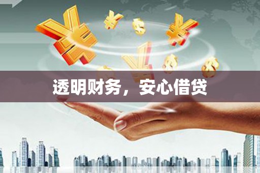洋山透明财务，安心借贷