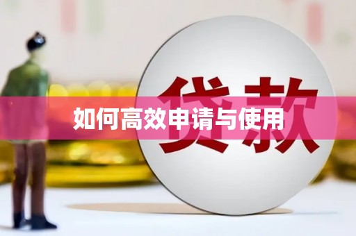 洋山如何高效申请与使用