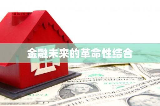 洋山金融未来的革命性结合