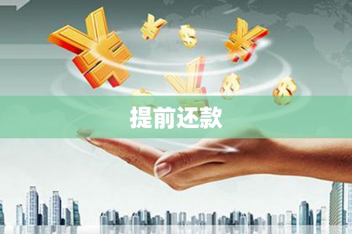 洋山提前还款