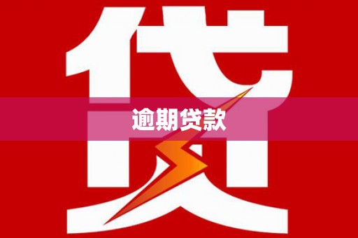 洋山逾期贷款