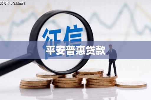 洋山平安普惠贷款